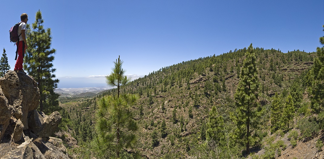 Guía de actividades al aire libre en Tenerife